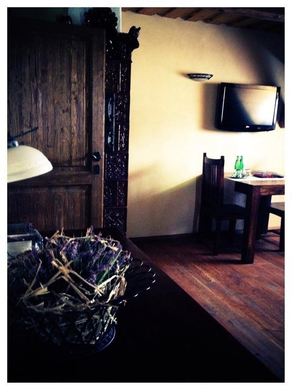 Dvur Olsiny -Hotel And Horse-Riding Karvina Room photo